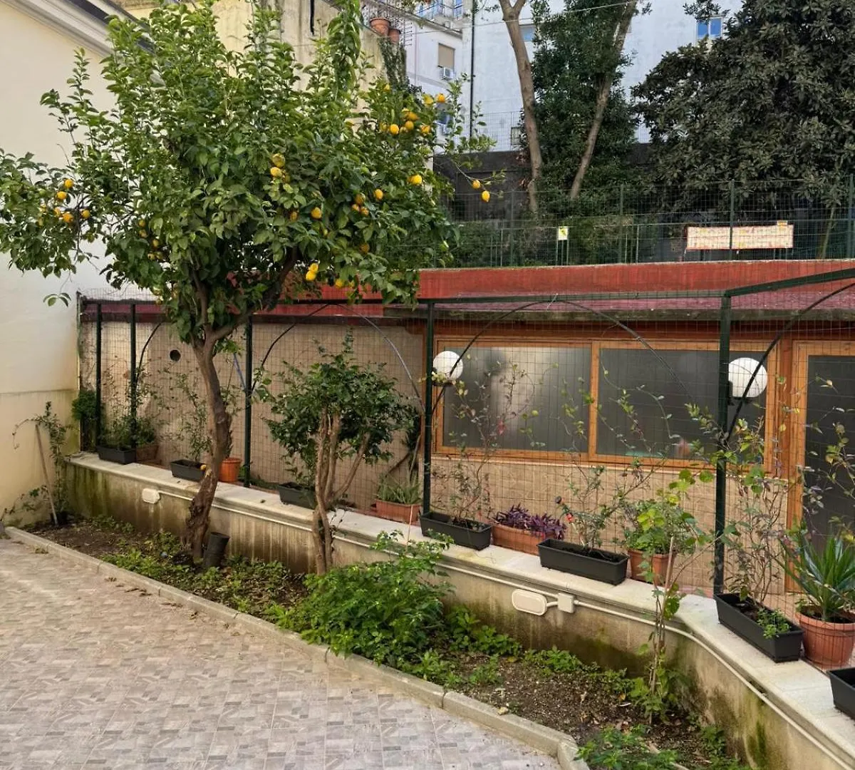 Mirea Garden Apartment Naples 0*,